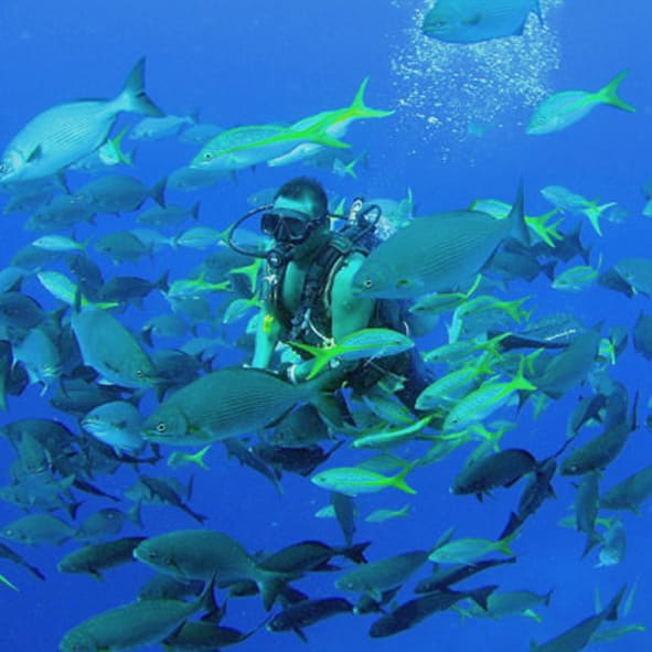 Buceo en Manzanillo